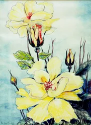 Rosa amarilla en una brisa de Suffolk, 2005