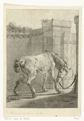 Un caballo atado a un poste