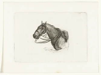 Cabeza de caballo a la izquierda Cabezas de caballo después de Dirk Langendijk (título de la serie)