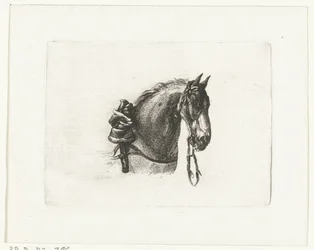 Cabeza de caballo a la derecha Cabezas de caballo después de Dirk Langendijk (título de la serie)