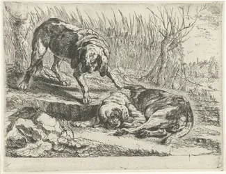 Dos perros Perros (título de la serie)