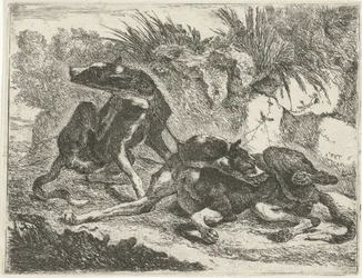 Dos perros Perros (título de la serie)