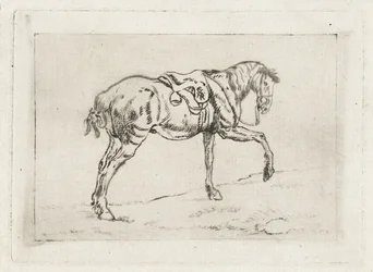 caballo ensillado