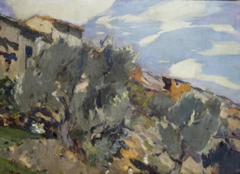 Pueblo, huerto de naranjos
