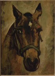 Cabeza de caballo