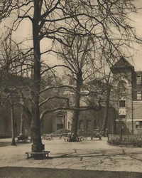 Bajo los olmos en el patio del Hospital Middlesex, c. 1935