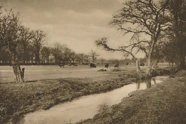 Donde el arroyo Beverley serpentea a través del Parque de Caza Real de Richmond, c1935