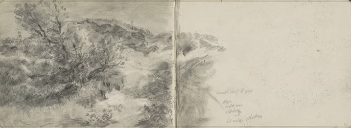 Paisaje de dunas