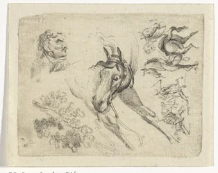 Hoja de estudio con caballos, un hombre y una rama.
