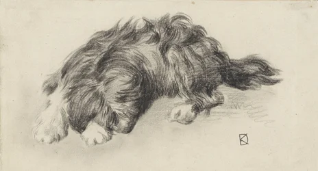 Perro dormido