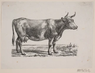 Una vaca