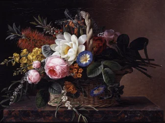 Naturaleza muerta de callistemos, lirios, retamas, rosas y convulvus. Pintura de Johan Laurentz Jensen (1800-1856) Colección particular.