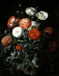 Amapolas exóticas. Pintura de Johan Laurentz Jensen (1800-1856) Colección particular.
