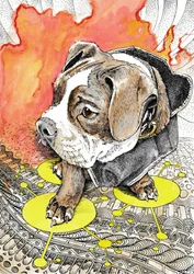 El apasionante viaje del cachorro