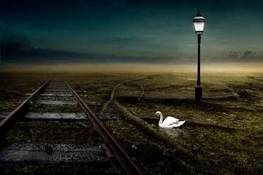 Ferrocarril, 2013 (fotografía)