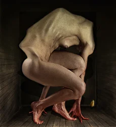 Vergüenza, 2012 (fotografía)