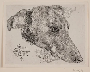 Danés: Hundehoved, Snip