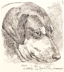 Danés: Cabeza de perro, Terry