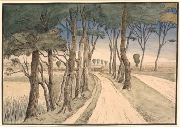 Paisaje de campo. En primer plano un camino con árboles