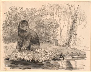 El oso