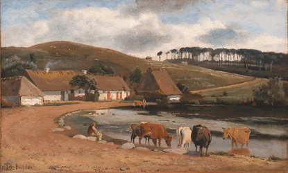Vacas siendo abrevadas en un estanque del pueblo. Brofelde, Zelanda