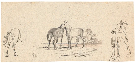 Los dos caballos; y estudio de caballos