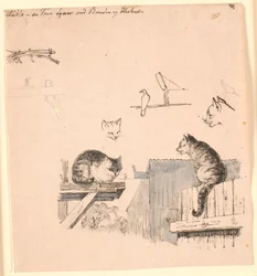 Los dos gatos. Estudios de cabezas de gatos, un pájaro, una oreja de gato y estructura de vigas. Ilustración para "Fábulas para niños" de Kaalund. Ver comentario del catálogo de archivos.