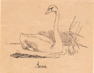 Un Cisne
