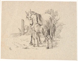 El caballo y el potro