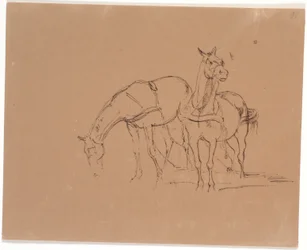 Carruaje de caballos