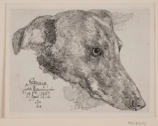 Cabeza de perro, Snip
