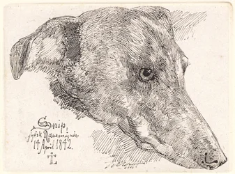 Cabeza de perro, Snip