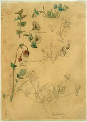 J. Th. Lundbye, Estudio de plantas