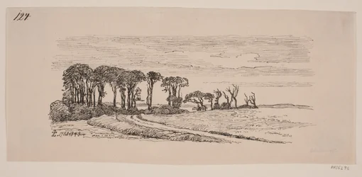 Paisaje con una fila de árboles