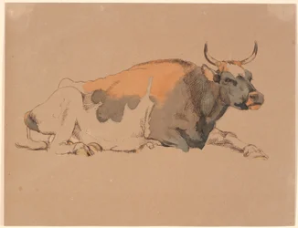 Vaca tumbada roja y negra