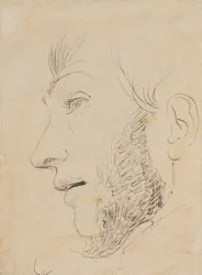 Retrato de hombre de perfil hacia la izquierda, visto desde abajo