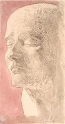 Estudio de la máscara mortuoria de Napoleón
