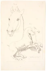 Estudios de esculturas antiguas. Arriba una cabeza de caballo, abajo un relieve con dos caballos