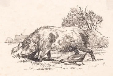 El cerdo y el pato