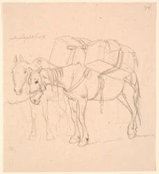 Dos caballos con carga