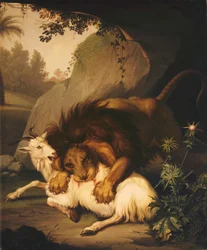 Un león atacando a una cabra