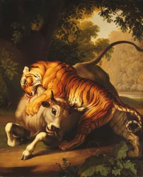 Un tigre atacando a un toro, 1785