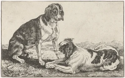Dos perros