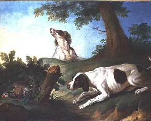 Spaniels levantando una perdiz