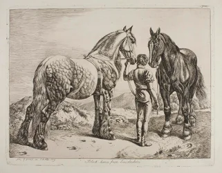 Caballos negros de Lincolnshire