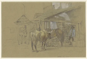 Bueyes y un caballo en el herraje