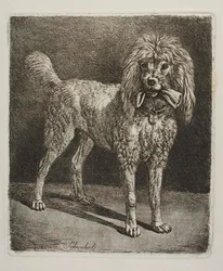 El caniche Schwalerl