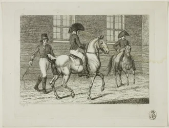 Escuela de equitación y caballos