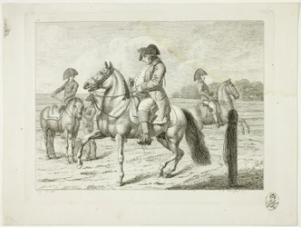Escuela de equitación y caballos