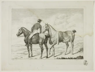 Escuela de equitación y caballos